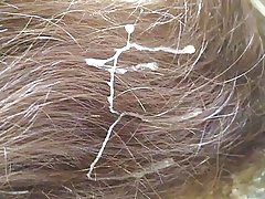 Жашырын буккаке поезд 003